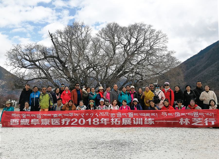 西藏阜康醫(yī)療2018年拓展訓(xùn)練——增強(qiáng)團(tuán)隊(duì)凝聚力、提升團(tuán)隊(duì)協(xié)作能力，更好地為患者服務(wù)