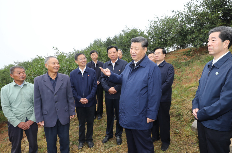 　　9月16日至18日，中共中央總書記、國家主席、中央軍委主席習(xí)近平在河南考察。這是17日上午，習(xí)近平來到信陽市光山縣槐店鄉(xiāng)司馬光油茶園，同正在勞作的村民和管理人員交流。 新華社記者 鞠鵬 攝