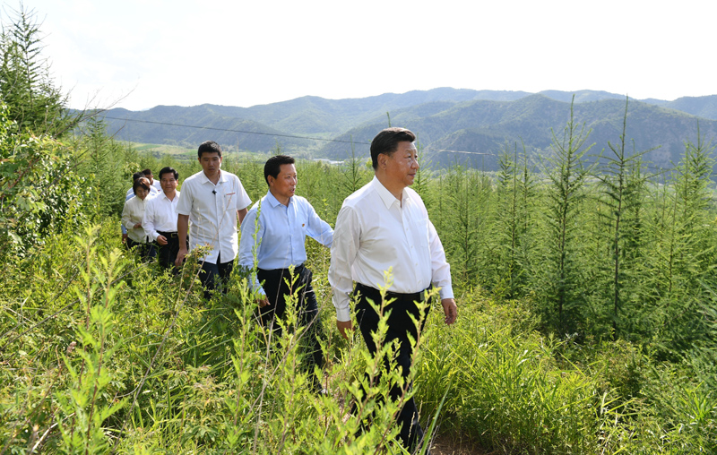 7月15日至16日，中共中央總書記、國家主席、中央軍委主席習(xí)近平在內(nèi)蒙古考察并指導(dǎo)開展“不忘初心、牢記使命”主題教育。這是15日下午，習(xí)近平在赤峰市喀喇沁旗馬鞍山林場林區(qū)，沿著崎嶇的護(hù)林小道察看林木長勢。